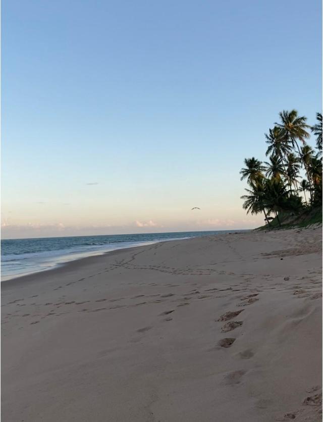 Praia Do Forte- Iberostar- Ap Luxuoso 3 Qts Mata de Sao Joao Dış mekan fotoğraf